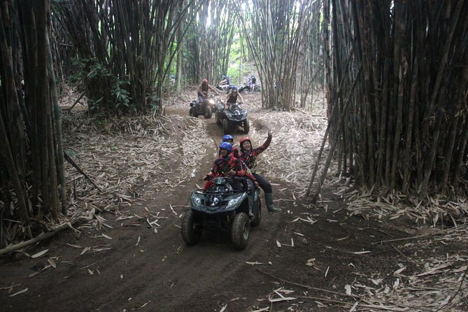 Bali All Inclusive : Tlaga Singha Infinity Pool & Atv Adventure - Is $85.50 good value?