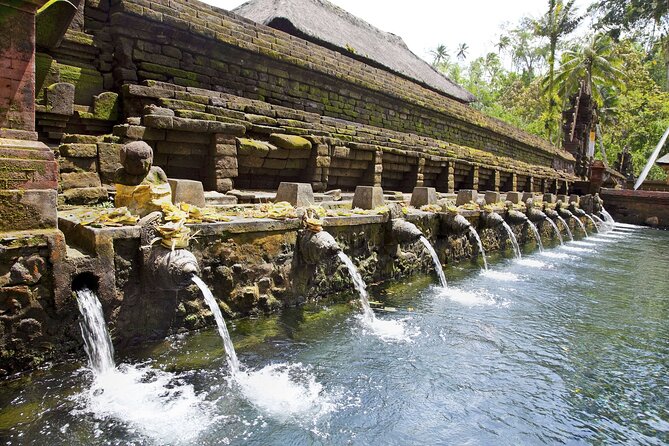 Bali All-Inclusive: Ubud Tour with Entrance Ticket and Lunch Included - Lunch in Tegalalang With Time To Look Around