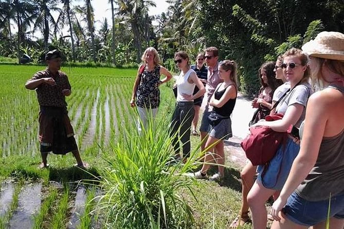 Bali Amazing Cooking Class - The value of $34 per person