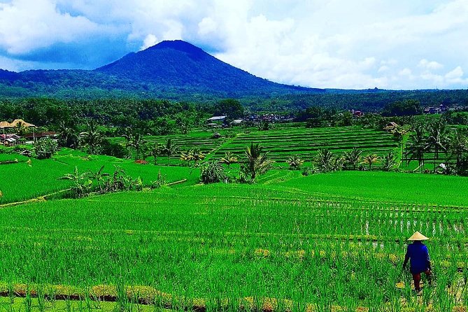 Bali Ancient Temples Tour - Taman Ayun: a calm start with royal roots
