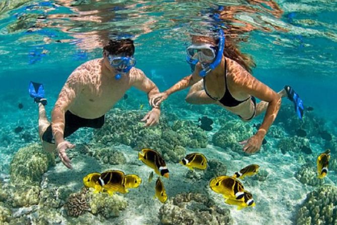 Bali ATV Blue Lagoon Snorkeling Private Guided Tour Free WiFi - Blue Lagoon snorkeling from a local boat