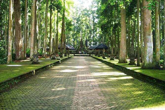 Bali ATV Combined with Mumbul Lake And Sangeh Monkey Forest - Taman Mumbul and its spring-fed calm