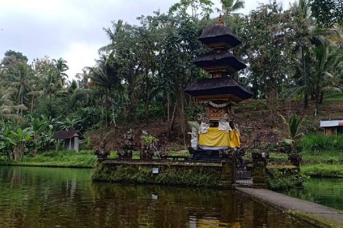 Bali ATV Combined with Mumbul Lake And Sangeh Monkey Forest - Sangeh Monkey Forest and its forest residents