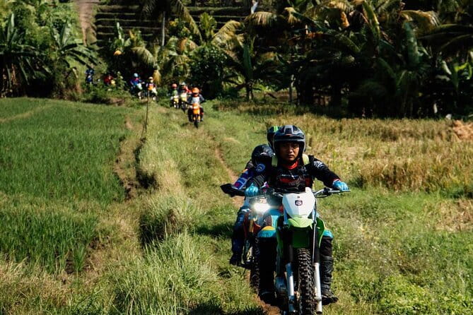 Bali ATV Quad Bike Ubud Swing & Monkey Forest All Inclusive - Should you book the ATV, Monkey Forest, and Swing tour?