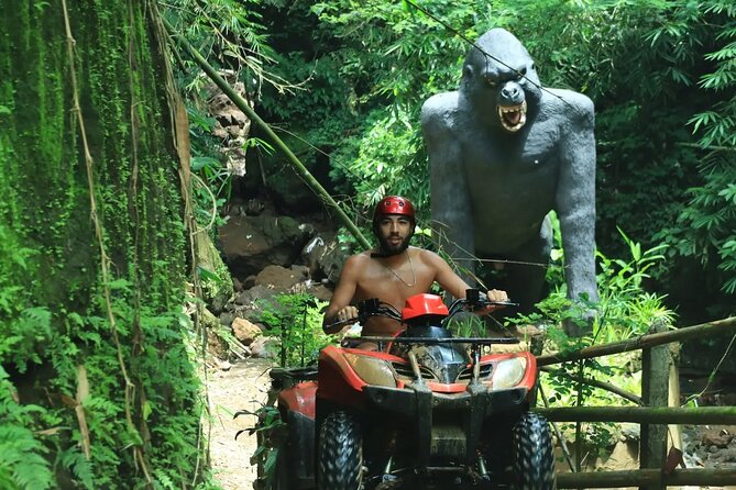 Bali ATV Quad Bike with Ubud Day Tour All Inclusive - The private vehicle makes the packed schedule easier
