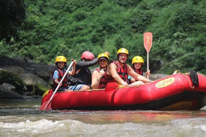 Bali ATV Rafting And Ubud Waterfall Private Tour - Ayung River rafting and the stair climb