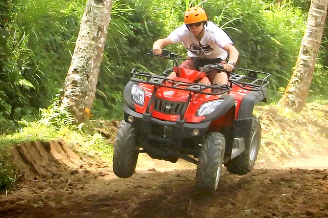 Bali ATV Ride And Ubud Tour Packages : Best Quad Bike Trip - Tegalalang Rice Terrace brings the classic Ubud view
