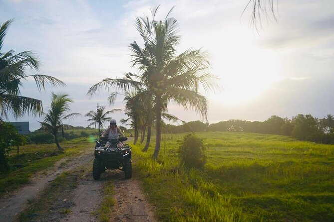Bali ATV Ride On the Beach, Rice Field and Village Tour 2 Hour - Nasi goreng after the ride
