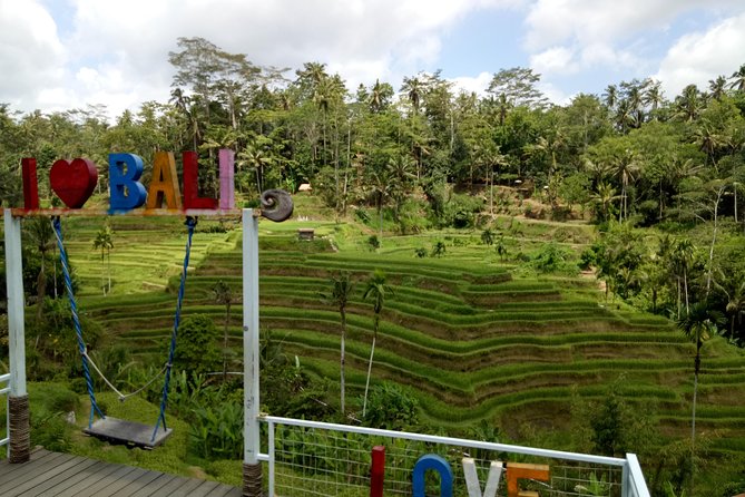 Bali ATV Ride with Jungle Swing and Rice Terrace Tour - Who will enjoy this day most
