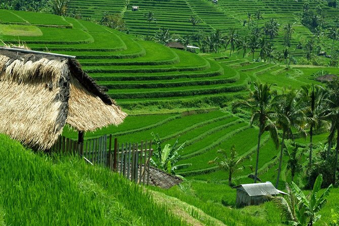 Bali: Bedugul Lake Temple, Banyumala Waterfall, UNESCO Rice Field - Ulun Danu Beratan Temple beside Lake Beratan