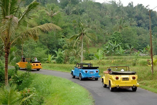 Bali: Bedugul Temple, Banyumala Waterfall, UNESCO Rice Terrace - Banyumala Twin Waterfalls and the swim option