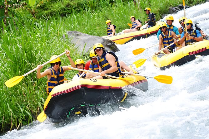 Bali Best-Activities: Telaga Waja Rafting Adventure - Telaga Waja rafting at a glance