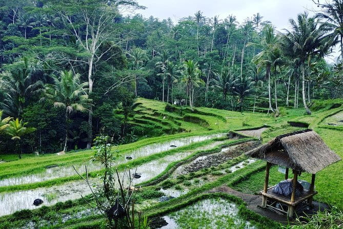 Bali: Best Eastern Waterfalls with Private Bali Tours - Private transport keeps the plan flexible