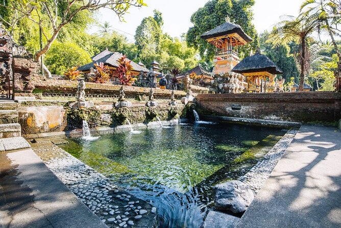 Bali Best Of Ubud Tour Private and All Inclusive - Who should book this tour