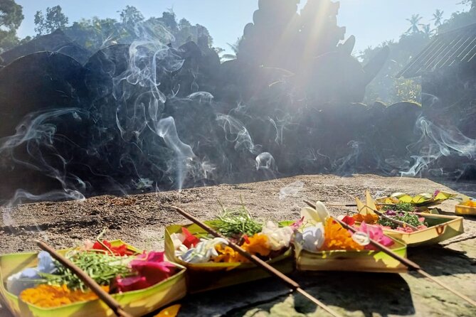 Bali Best Private of Nusa Penida Tour - What the guide adds to the day