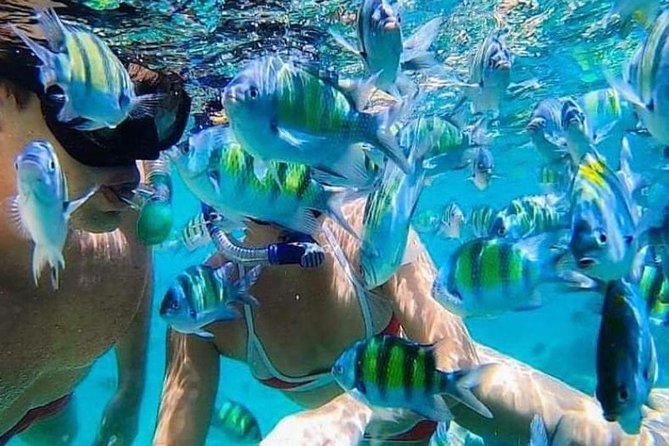 Bali Best Snorkeling at Blue Lagoon - Key points to know before booking