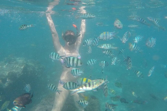Bali Best Snorkeling at Blue Lagoon - Who will enjoy this Blue Lagoon outing