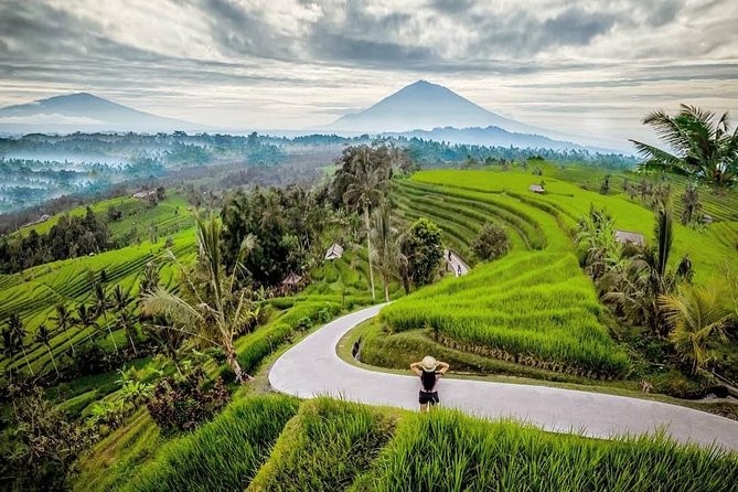 Bali BEST Things to Do Private Full-day Tour from Your Hotel - Two very different waterfalls