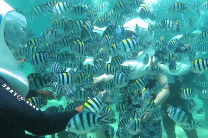 Bali Best Watersport Sea walker,Parasailing adventure,Jet sky - Tanjung Benoa’s beach setting