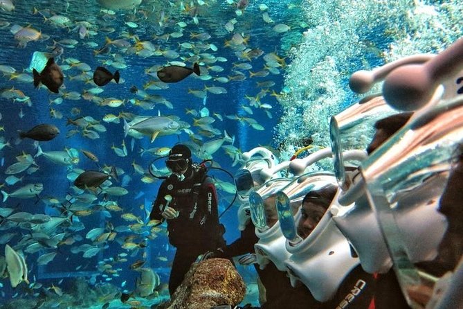 Bali Best Watersport Sea walker,Parasailing adventure,Jet sky - Jet Ski: 15 minutes of speed
