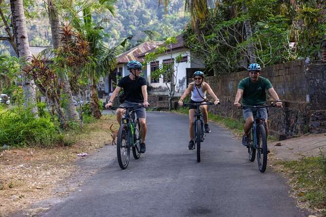 Bali Bike Tour Ubud Area - Key points to know before you book