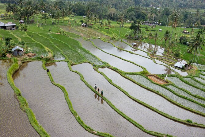 Bali Bike Tour Ubud Area - Bongkasa brings the ride to a gentle close