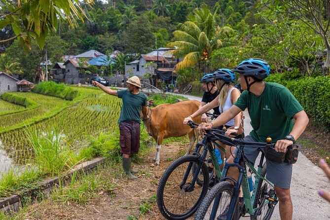 Bali Bike Tour Ubud Area - What could disappoint you