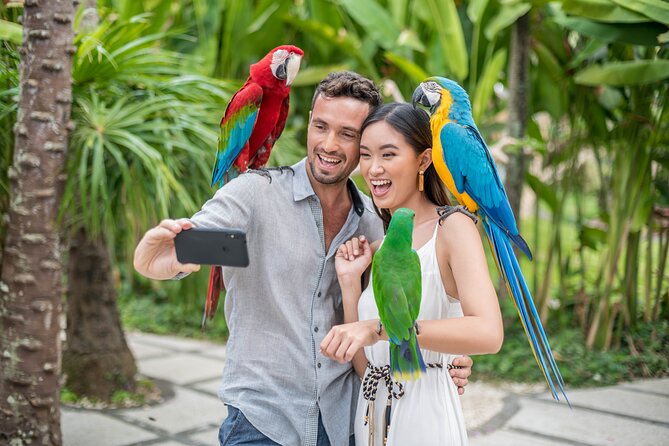 Bali Bird Park Admission Ticket - Birds of prey at 11:30 a.m. and 3 p.m.