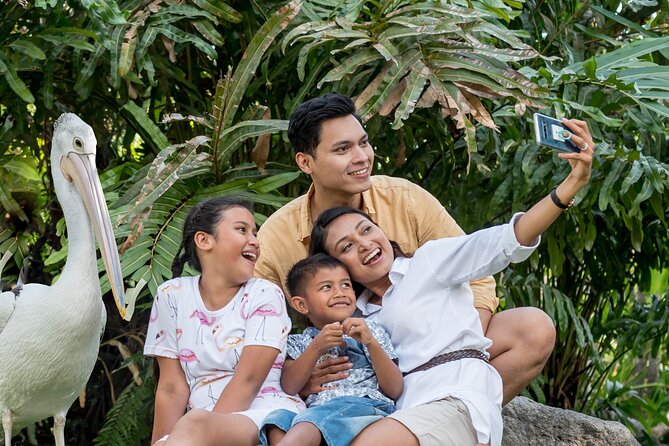 Bali Bird Park Admission Ticket - A 4D movie and extra family entertainment