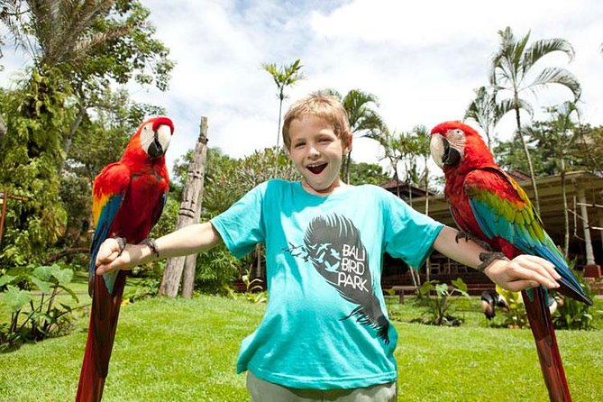 Bali Bird Park Admission Ticket with Hotel Transfer - The bird shows and feeding opportunities