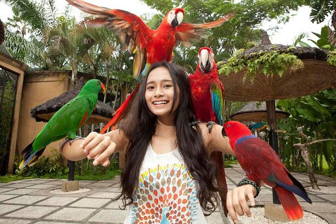 Bali Bird Park Admission Ticket with Hotel Transfer - What makes the grounds special