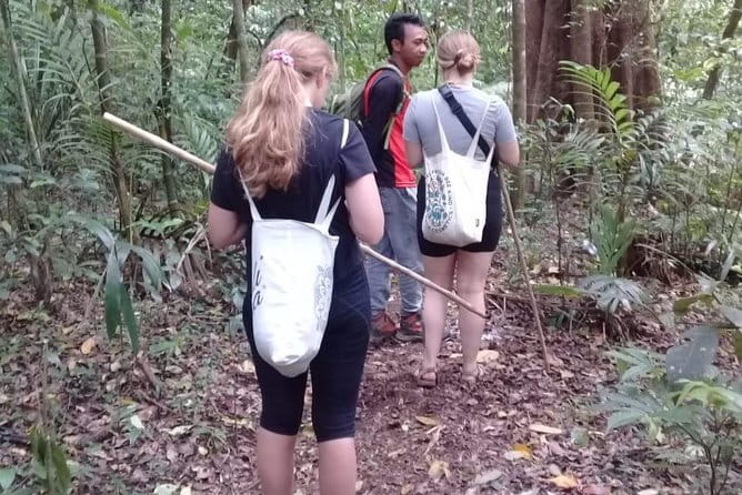 Bali Blue Lagoon Snorkeling and Waterfall Day Tour with Lunch - Tibumana or Suwat: choosing the quieter finish