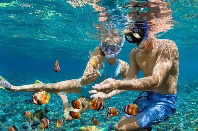 Bali Blue Lagoon Snorkeling and Waterfall Day Tour with Lunch - The private vehicle is the real convenience