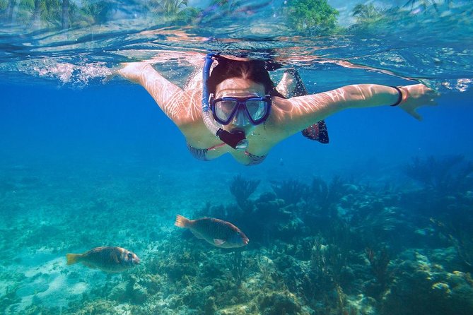 Bali Blue Lagoon Snorkeling Experience - Lunch is simple, useful, and included