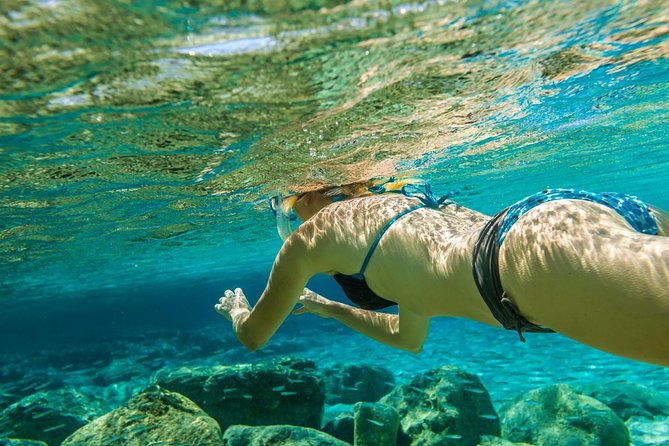 Bali Blue Lagoon Snorkeling Experience - What the $49.09 price really covers