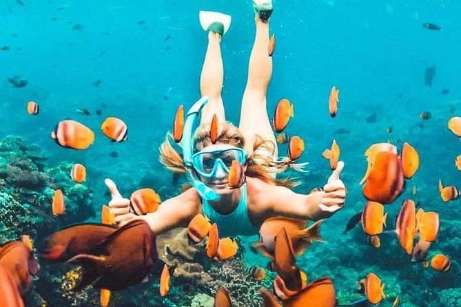 Bali Blue Lagoon Snorkeling - Lunch and Transport All Inclusive - What the $39 package really gives you