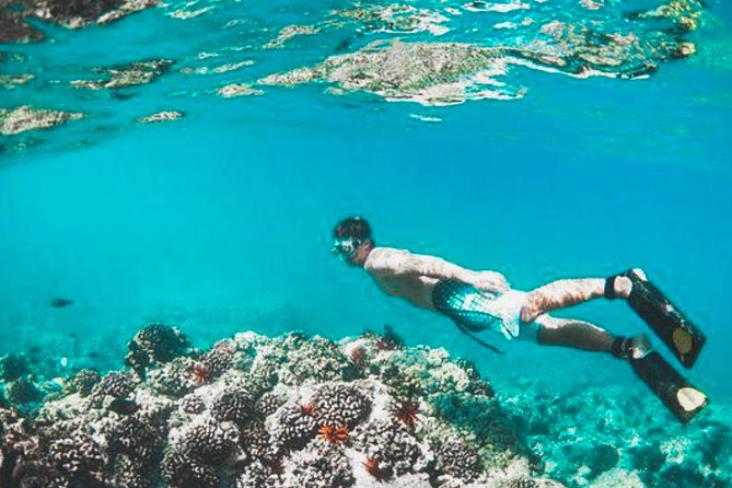 Bali Blue Lagoon Snorkeling - Lunch and Transport All Inclusive - Lunch after snorkeling