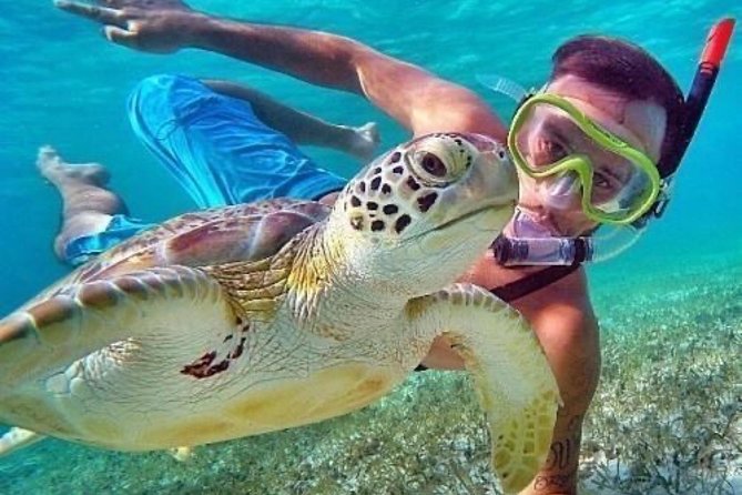 Bali Blue Lagoon Snorkeling - Lunch and Transport All Inclusive - Weather, safety, and what to pack