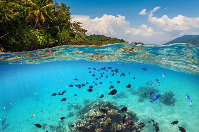 Bali Blue Lagoon Snorkeling Tour All Inclusive - From Seminyak to Padang Bai by road