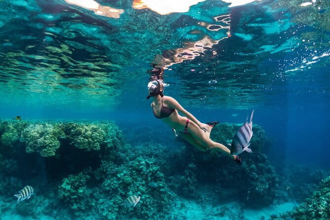 Bali Blue Lagoon Snorkeling Tour All Inclusive - Blue Lagoon: coral, fish, and clear water
