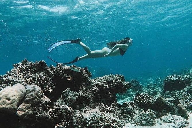 Bali Blue Lagoon Snorkeling Tour All Inclusive - What the snorkeling equipment and instruction add