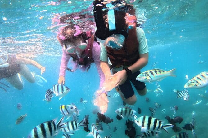 Bali Blue Lagoon Snorkeling Tour All Inclusive - The $42 price and what you receive