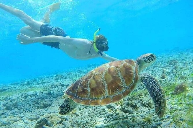Bali Blue Lagoon Snorkeling with Private Transfer & Lunch - Safety, comfort, and who should book