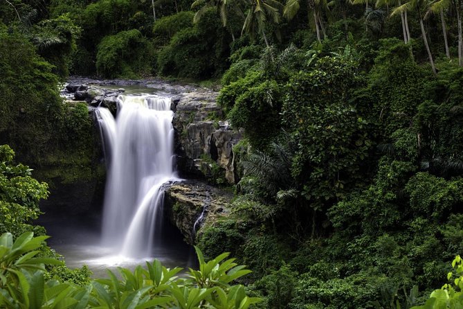 Bali Breathtaking Waterfall Tour (Private & All-Inclusive) - What the drive-through sights really add