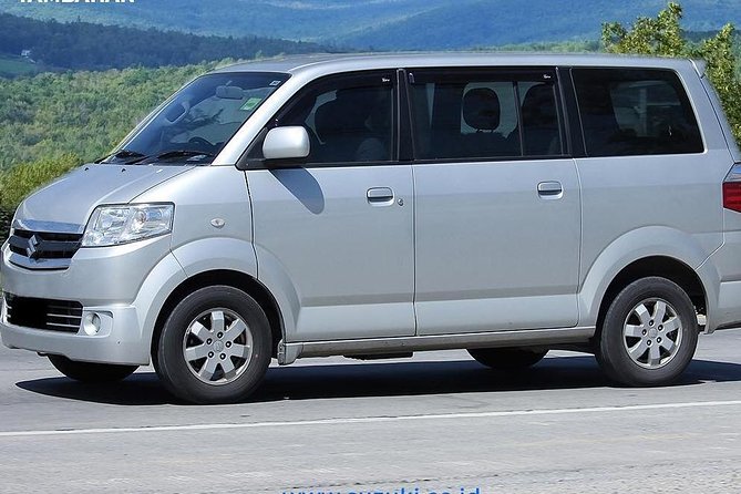 Bali Car Charter Your Own Tour Initenery - Ubud Traditional Art Market: browse with a budget