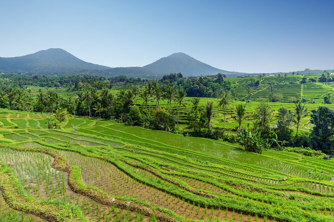 Bali Charm: Full-Day Bedugul and Tanah Lot Tour (UNESCO) - All Inclusive Tickets - The long drive is part of the bargain