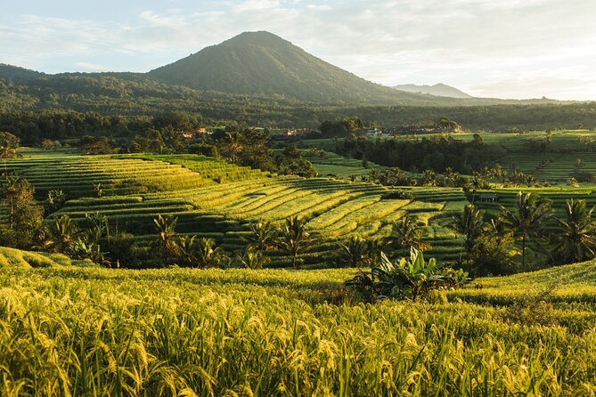Bali Charm: Full-Day Bedugul and Tanah Lot Tour (UNESCO) - All Inclusive Tickets - What the $56.54 price really covers