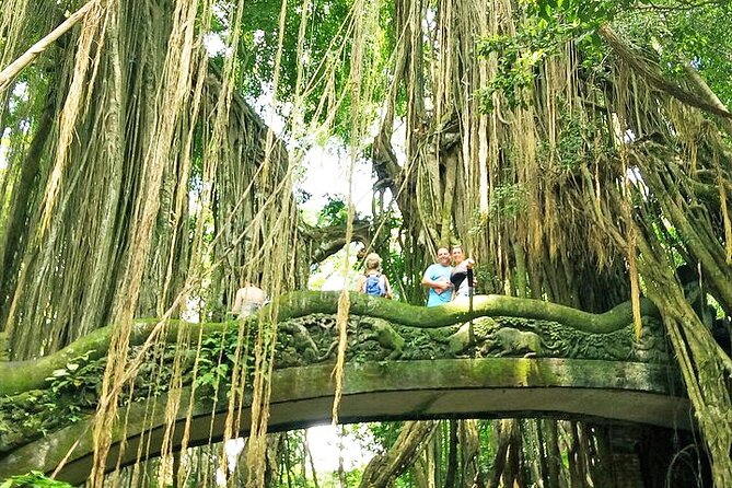 Bali Cooking Class and Ubud Sightseeing Tour - Why the Private Format Matters