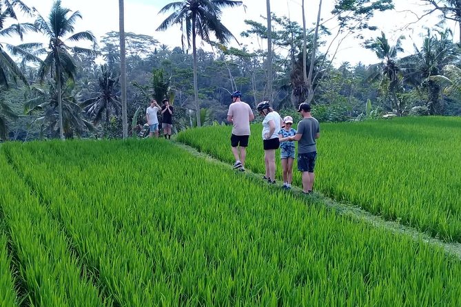 Bali Countryside Cycling Adventure - Key points to know before you book