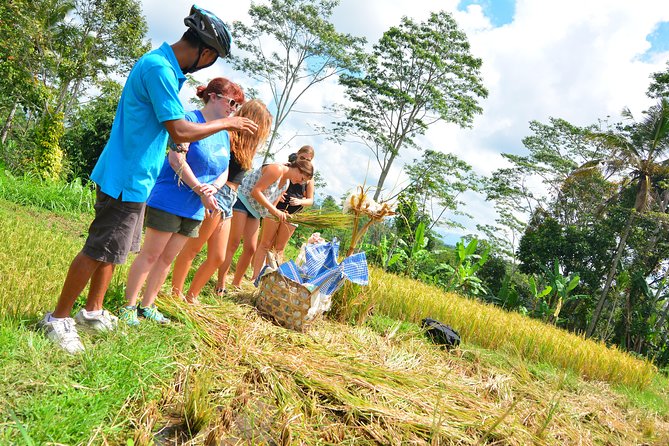 Bali Countryside Cycling Tours - Indonesian lunch at the end of the ride
